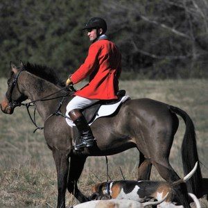 Meet your Posher, Billy